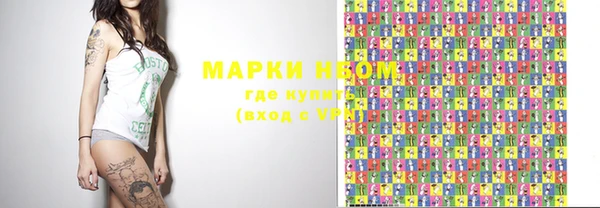 прущие грибы Абинск