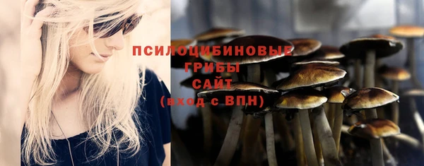 прущие грибы Абинск