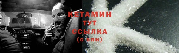прущие грибы Абинск