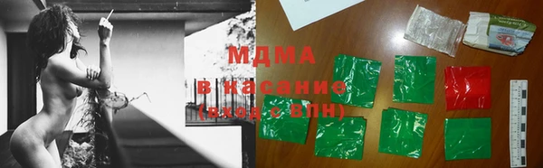 прущие грибы Абинск