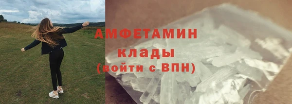 прущие грибы Абинск
