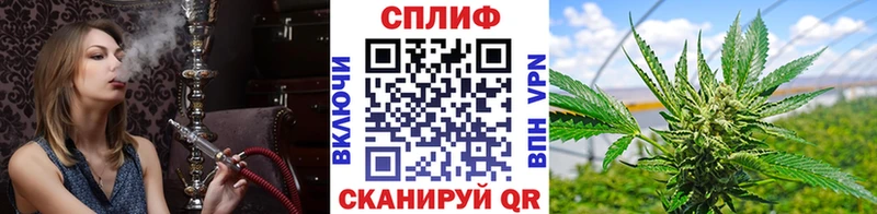 Каннабис семена  Лебедянь 